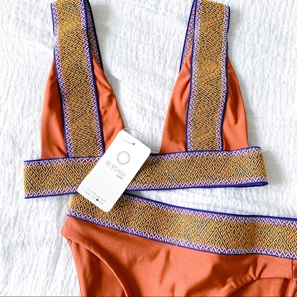 Copper/ burnt orange Bikini - Picture 2 of 8